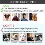 Custom Girlfriend Shirt - Personalized 'I Love My Girlfriend' Shirt - Unique Shirt with Girlfriend's Photo - Fun 'I Have a Girlfriend' T-Shirt (8) Custom Girlfriend Shirt - Personalized 'I Love My Girlfriend' Shirt - Unique Shirt with Girlfriend's Photo - Fun 'I Have a Girlfriend' T-Shirt (8)