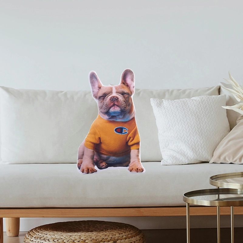 Custom Pet Pillow - Personalized Pet Picture Pillow from Photo - Custom Dog Pillow for Unique Gifts (4)